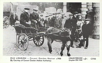 London Postcard - Old London - Covent Garden Market C1900 Donkey Cart- Ref.J326 • £2.39