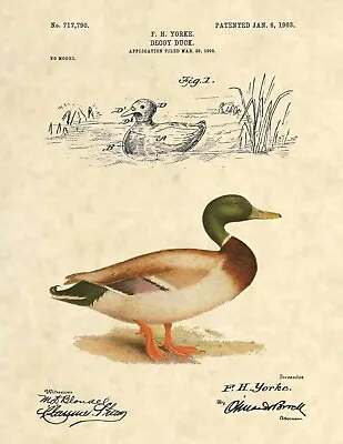 Antique Decoy Duck Hunting Patent Art Print- Antique Mallard Hunting Hunter 858 • $12.77