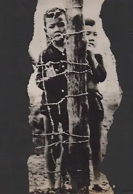 VIETNAM WAR CHILDREN WATCH THROUGH BARBED WIRE VIETNAM 1960s PRESS PHOTO Y 424 • $15.99