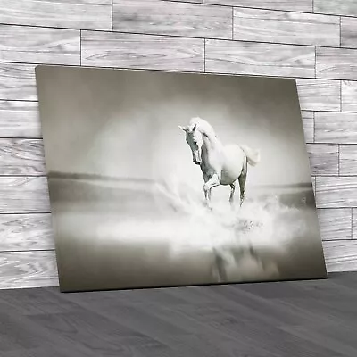 Captivating Horse In Water Spectacular Running Canvas Print Large Picture Wall • £14.95