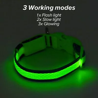 Dog Collar HiGuard. Lighted USB Rechargeable  Dog Collar Lights Adjustable. • $12.96