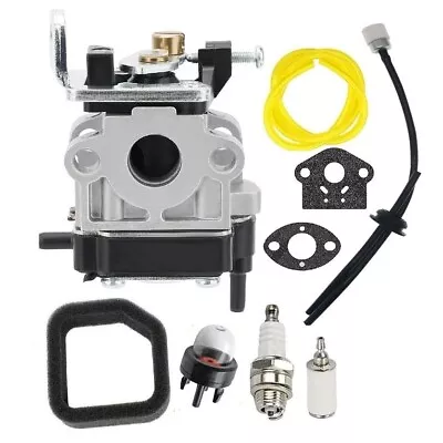 High Performance Carburetor Replacement For Tanaka Trimmers WYC 22 6696550 • $47.47