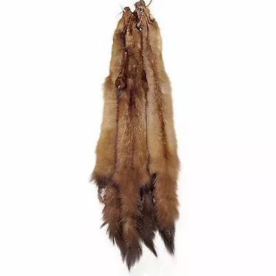 Glacier Wear Premium Label Russian Sable Pine Marten Fur Pelt Hide Sbl1001 • $159.95