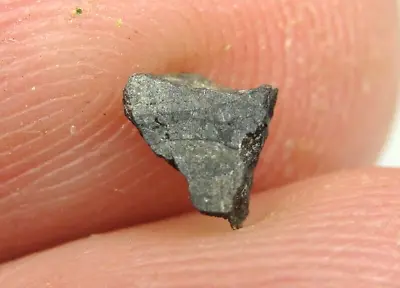 Meteorite NWA 8159 Achondrite Martian Augite Basalt - G456-0011 - 0.09g - 1 Of 1 • $539.95
