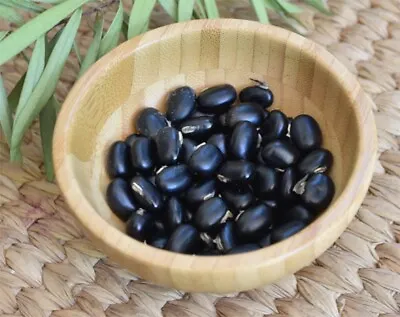 Organic Black Mucuna Pruriens Seeds Velvet Bean Seeds 10 Seeds - Approx. 0.5 O • $5.95