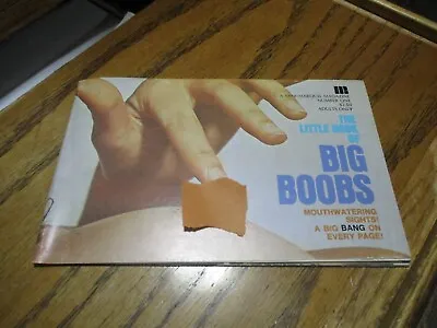 RARE Vintage 1974 Little Book Of Big B00bs  Mens Magazine 20 Pages Mini Marquis • £13.74