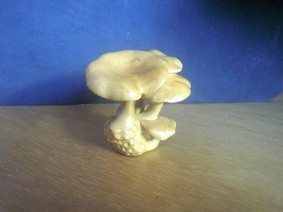 £24.99 • Buy Hand Carved Wood Netsuke  Mushrooms / Toadstools Grow Collectable Boxwood Fig .1