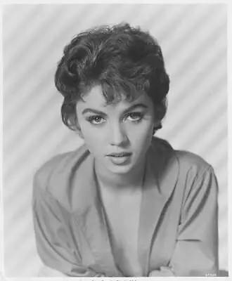 Actress Jocelyn Lane 1950s Film Movie Star Old Photo • $8.50