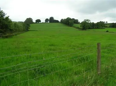 £2 • Buy Photo 6x4 Coolreaghs Townland Cookstown/H8078 Looking West C2007
