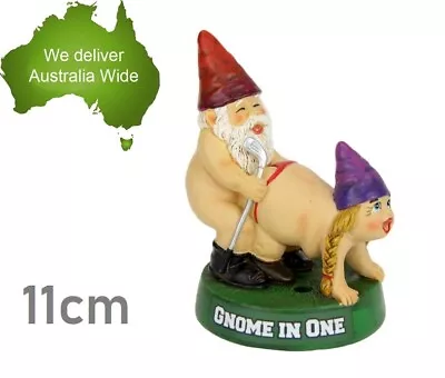 11cm Rude Couple Gnome In One Garden Ornament Statue Sculpture Figurine Gift • $19.99