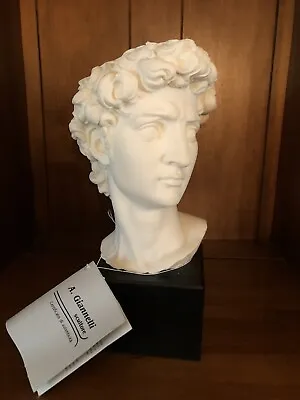 Vintage Michelangelo Original David Bust By A. Giannelli Signed Italy   9  • $49.99