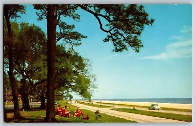 Mississippi - Mississippi Gulf Coast US Highway - Vintage Postcard - Unposted • $3.99