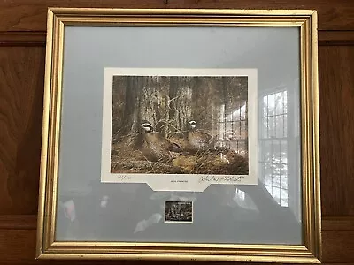 1983 QUAIL UNLIMITED Framed Richard Plasschaert Quail Print & Stamp 125/1500 • $75