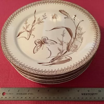 T & R Boote Summertime 1878 - Set Of 8 Dinner Plates 10” Round • $120