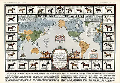 Historic Horse Map Of The World Antique Vintage Pictorial Wall Art Poster Decor • $21.95