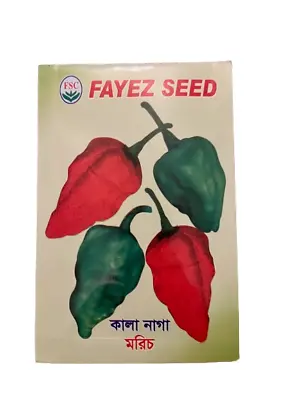 Original Bangladeshi Hot Black Naga Seeds Spicy Naga Plant Seeds Approx 24 Seeds • £7.99