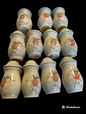Vintage International China Marmalade Goose Spice Jars With Lids Set Of 11 • $34.65