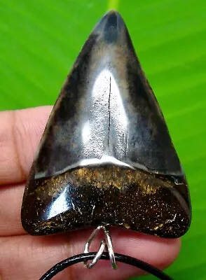 Mako Shark Tooth Necklace - 1.99  - Real Fossil - Stunning Color - Shark Teeth • $65
