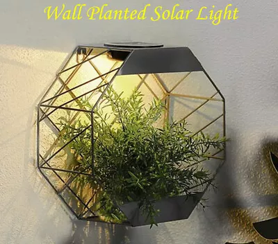 New Solar Pwered Warm LED Real Flower Wall Planter Decorative Outdoor Garden • £15.73