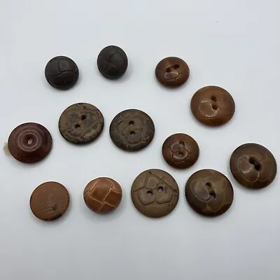 11 Vintage Carved And Dyed Vegetable Ivory Buttons 1/2  To 3/4  BT4 • $8