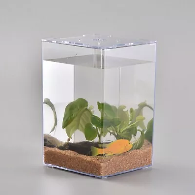 Small Aquarium Desktop Fish Tank Betta Goldfish Guppie • £11.99