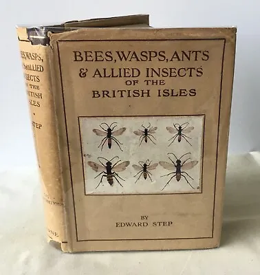 £25 • Buy Edward Step - Bees, Wasps, Ants & Allied Insects British Isles Wayside Woodland