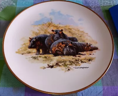 Wedgwood David Shepherd Hippopotamus Plate 27cm • £10