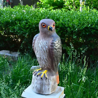 Fake Realistic  Bird Deterrent Decoy Statue Garden Scarer Ornament • £11.59