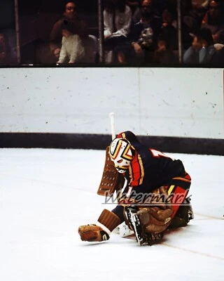 $5.59 • Buy NHL Goalie Denis Herron Kansas City Scouts Game Action Color 8 X 10 Photo Pic