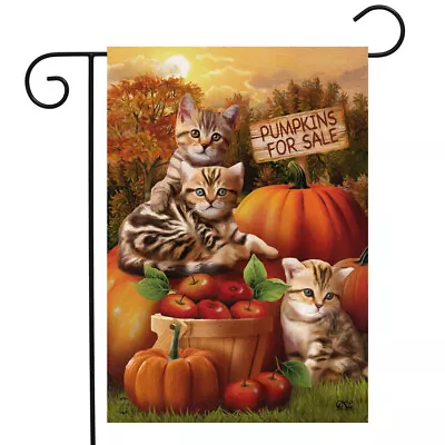 Briarwood Fall Kittens Pet Cat Pumpkin Halloween Mini Window Garden Yard Flag Nw • $8.97