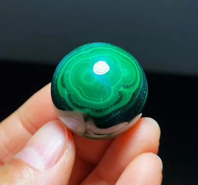 25mm Natural Green Malachite Polished Sphere Ball Reiki Healing B005 • $16.99