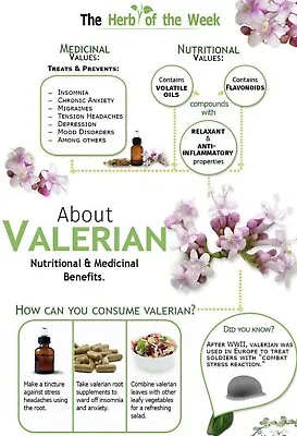 150 Valerian Seeds-Medicinal Plant-NON GMO-Valeriana Officinalis • $2