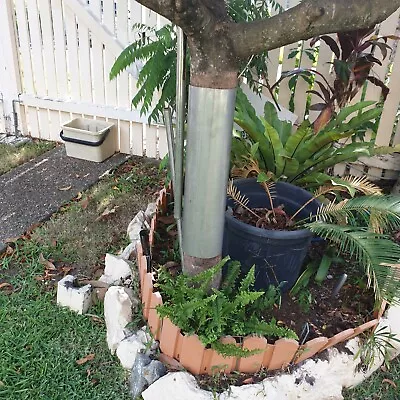 Possum / Rat Tree Guards In Galvanised Steel • $19.95