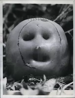 1959 Press Photo Tomato With Face Elmer Benson Garden Amherst Junction Wisconsin • $19.99