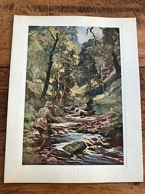 £29.99 • Buy 1937 Original Lionel Edwards Print - A Devon Stream !  ( Fishing Scene )