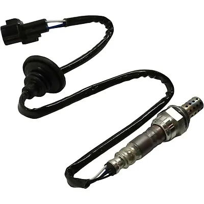 For 1989 244 Oxygen Sensor 25023033 2343033 13034 • $49.95