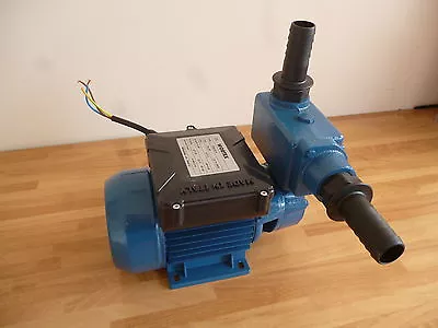 Inline Water Pump Centrifugal 1 Inch BSP Cast Iron IBC Water Pump IBC Fitting • £160