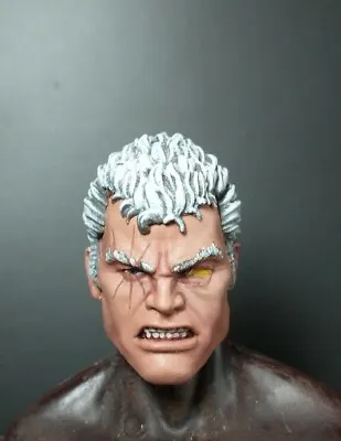 HEAD ONLY Marvel Legends Custom Painted Head Cable Modified Head • $27