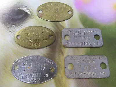 Vtg 1940s 1950's  & 1960's  Dog License Tax Tag Lot Of 5 Shiawassee Co. Michigan • $18