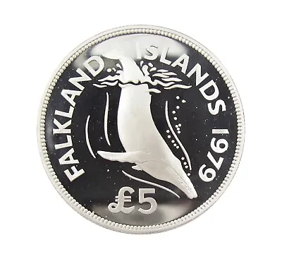 Falkland Islands 1979 Silver Proof £5 Five Pounds - Wwf Conservation Series • £30