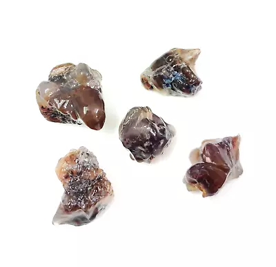 100% Natural Mexican Raw Fire Agate Polished Rough Gemstone 5 Pieces Lot 114cts • $25.99