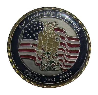 USAF For Leadership By Example Chief Master Sergeant Jose Silva Challenge Coin • $15.95