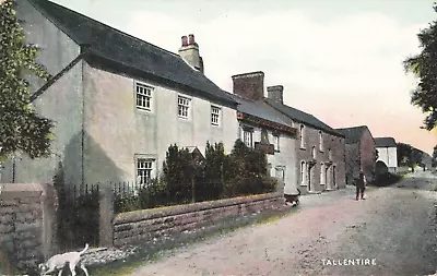 TALLENTIRE NR COCKERMOUTH - PRE 1918 CUMBERLAND POSTCARD (ref 5041) • £7.99