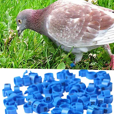100Pcs Bird Poultry Chicks Plastic 1-100 Numbered Pigeon Leg Bands Rings • £7.15