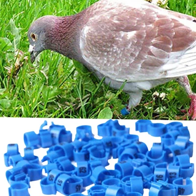 100Pcs Bird Poultry Chicks Plastic 1-100 Numbered Pigeon Leg Bands Rings • £7.15