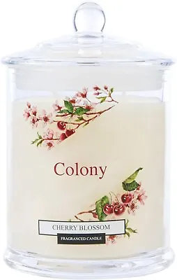 Wax Lyrical Colony Glass Jar Candle Large Cherry Blossom 84 Hours Burn Time • £19.99