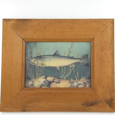 Vintage Framed Salmon Fish Print 33x23cm • $6.30