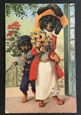 Dressed Dog DACHSHUND Dackel Teckel Visit Roses Old Dog PC Chien Hund 1912  TSN • $16.50