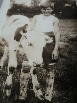 Antique Photo Boy With Calf Crazy Socks Baby Cow • £24.08