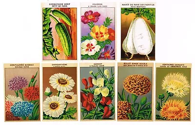 Original Vintage Lot Of 8 European Seed Packet Labels Flowers C1910 Gardening • $9.95